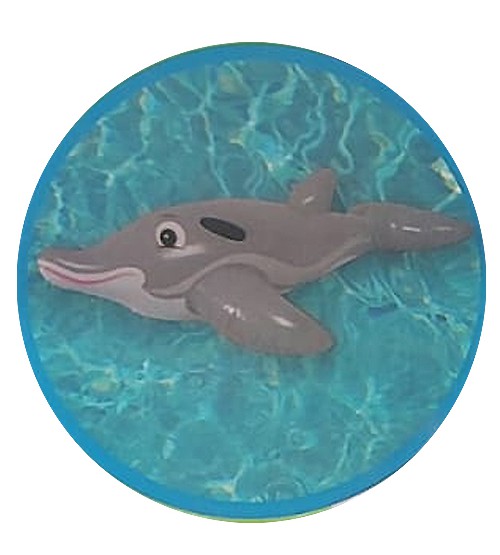 דולפין מהמם מתנפח
